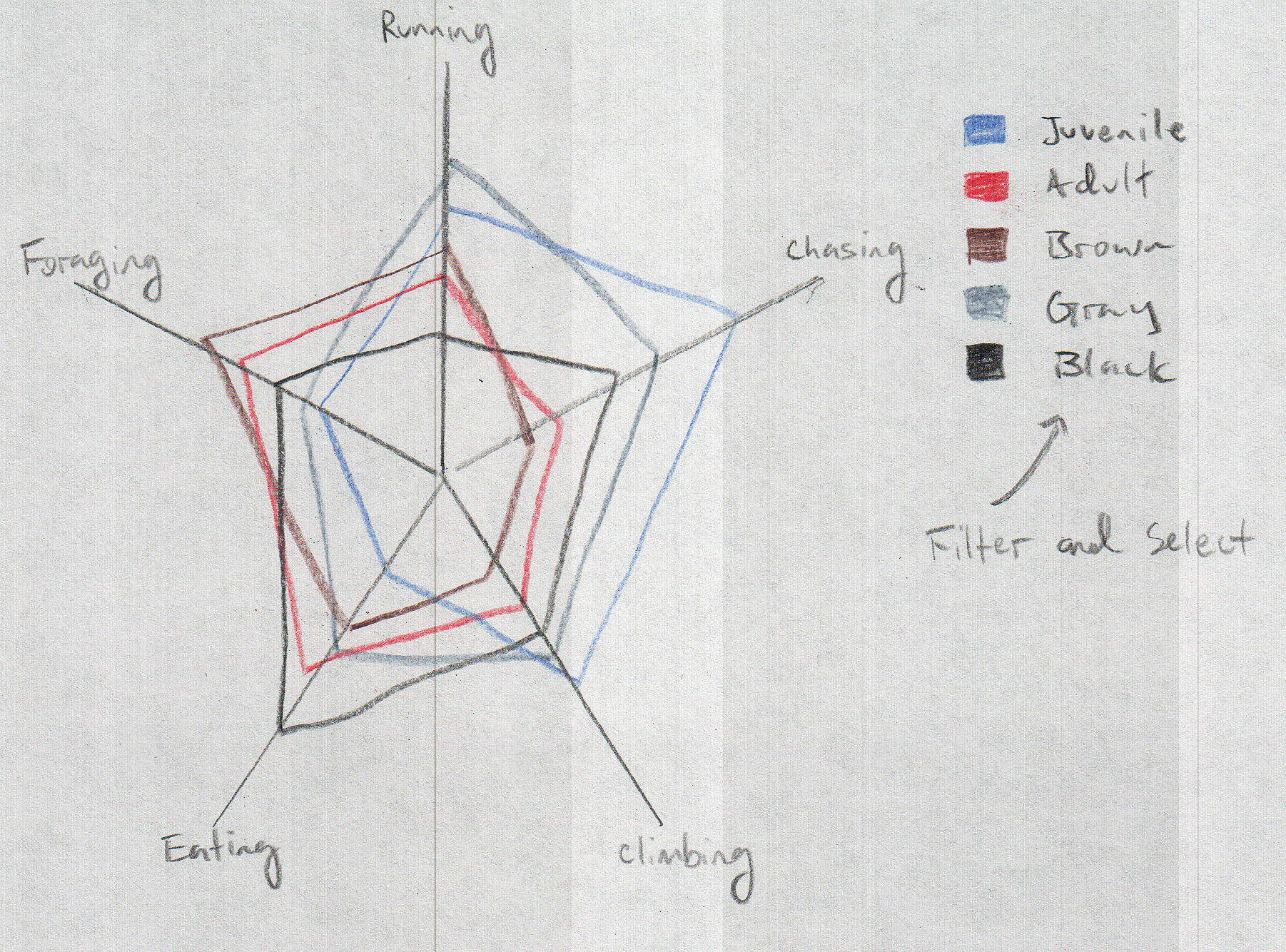 Hand drawn radar plot